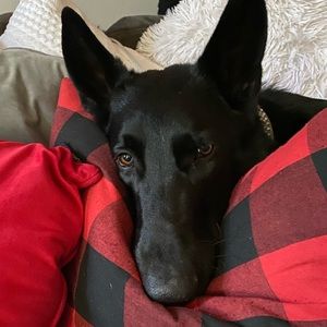 Meet your Posher, Cynthia